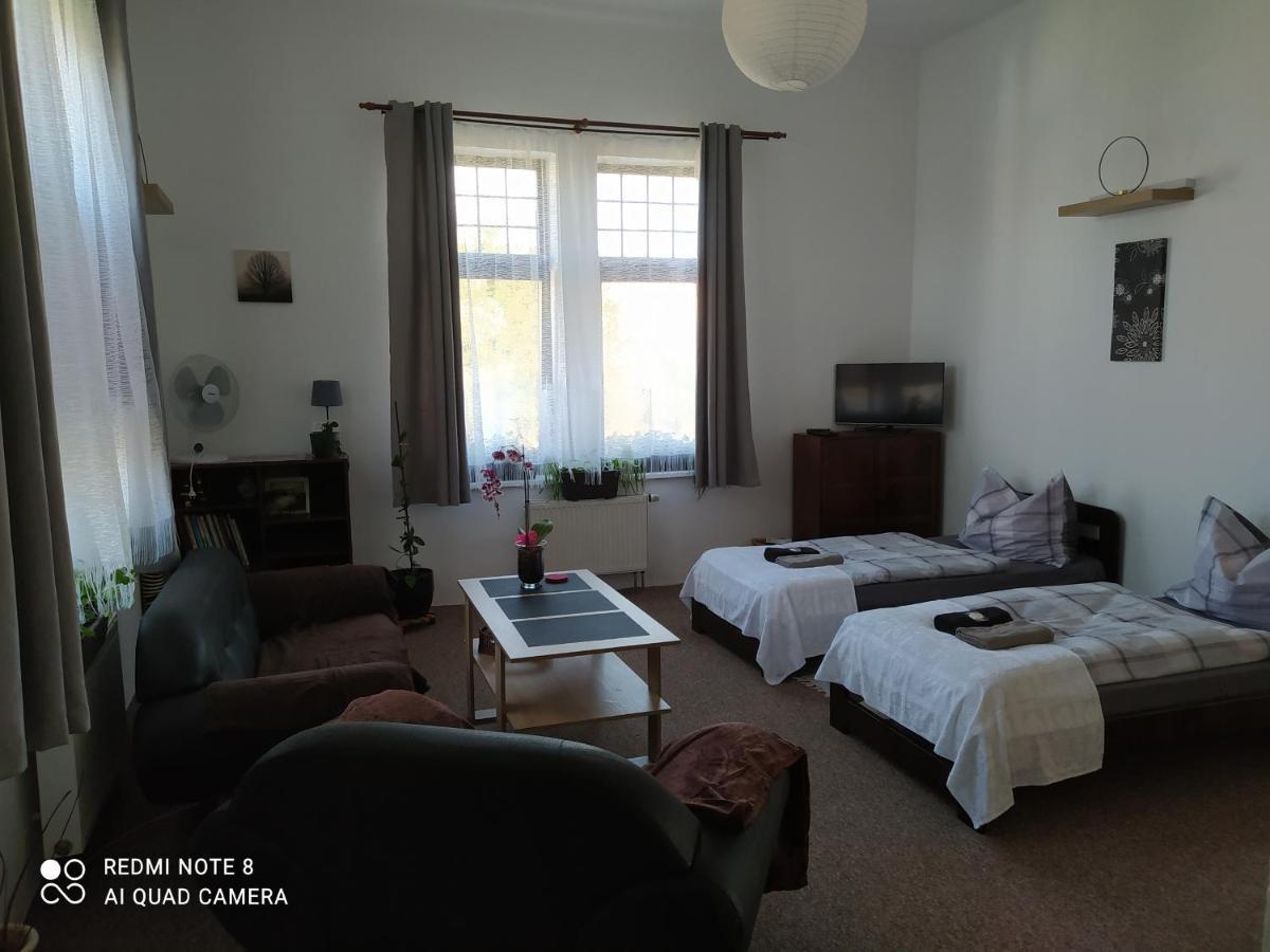 Bechyně Villa Liduska S Kavarnou מראה חיצוני תמונה
