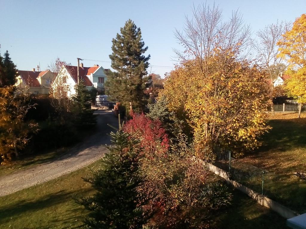 Bechyně Villa Liduska S Kavarnou מראה חיצוני תמונה