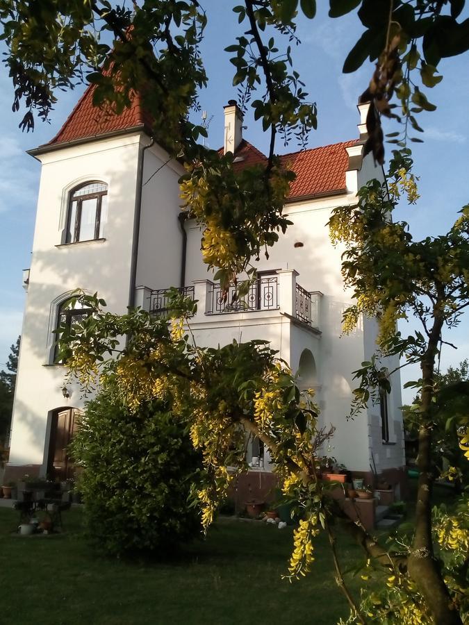Bechyně Villa Liduska S Kavarnou מראה חיצוני תמונה