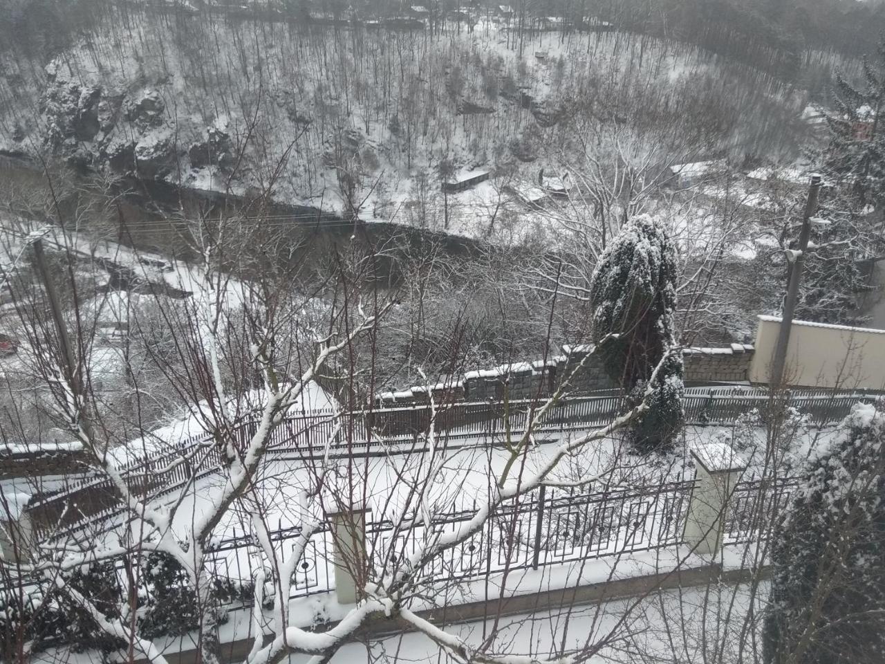 Bechyně Villa Liduska S Kavarnou מראה חיצוני תמונה